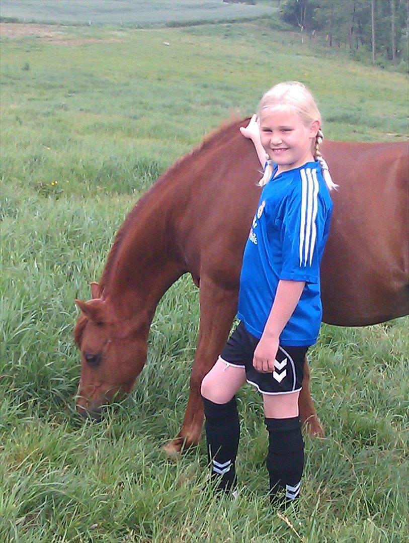 DSP Friis Attila billede 15