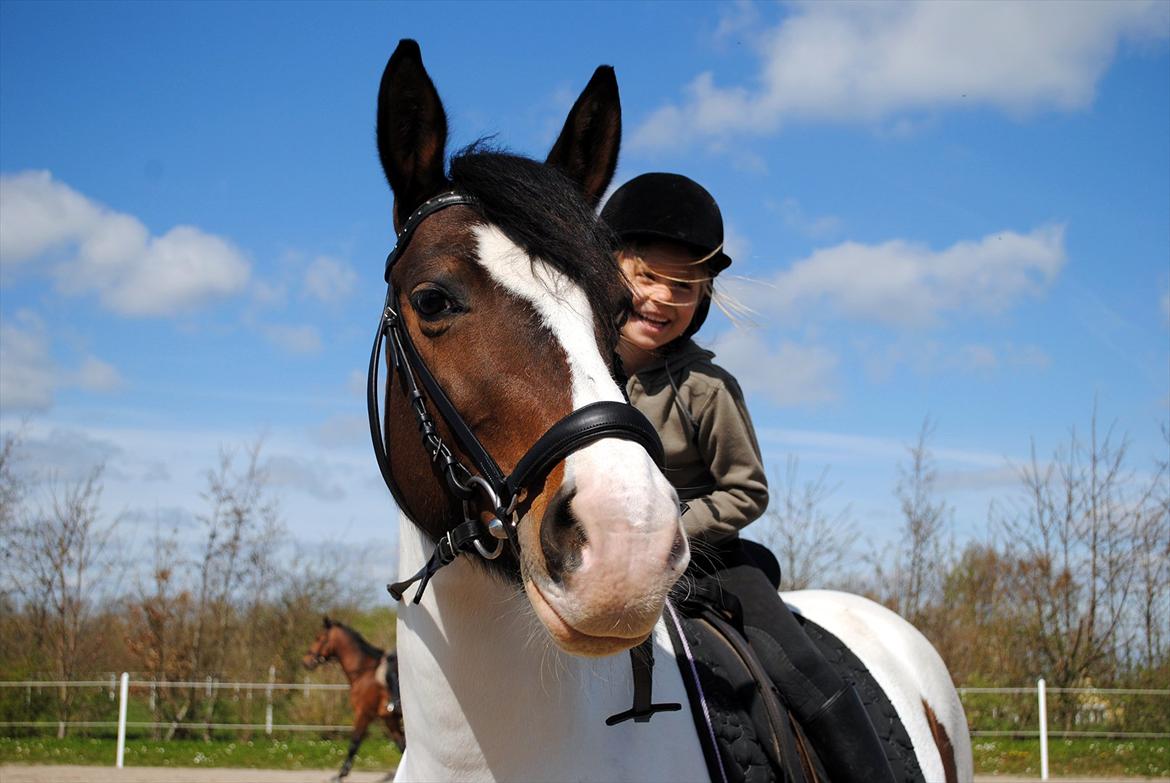 Anden særlig race Plet - All horses deserve, at least once in their lives, to be loved by a little girl. billede 11