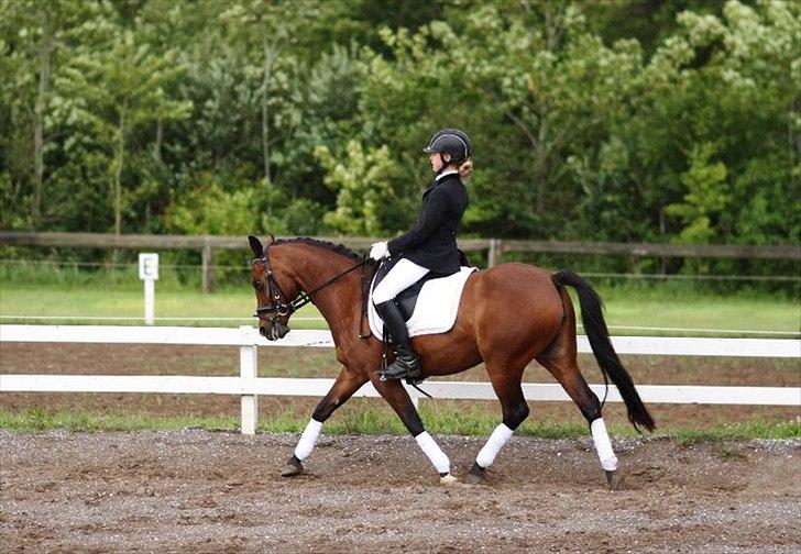 DSP Svanfolks Rebecca - Mig og Rebecca' debut i LA2 hvor vi red til 64% BJR' ridelejr 2011.  billede 5