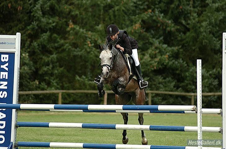 Connemara Texas Honey-Moon - Velkommen til Tex's profil billede 1