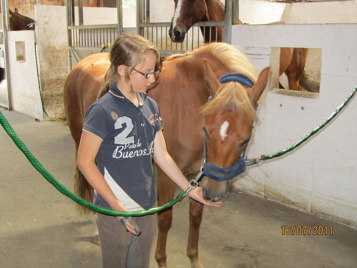 New Forest Kjantes valentijn Isabella <3  billede 10