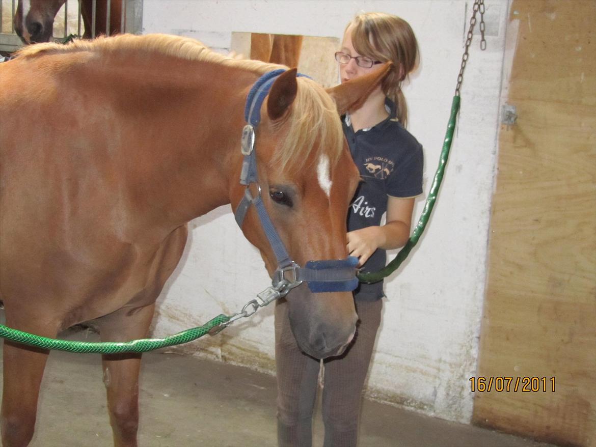 New Forest Kjantes valentijn Isabella <3  billede 11