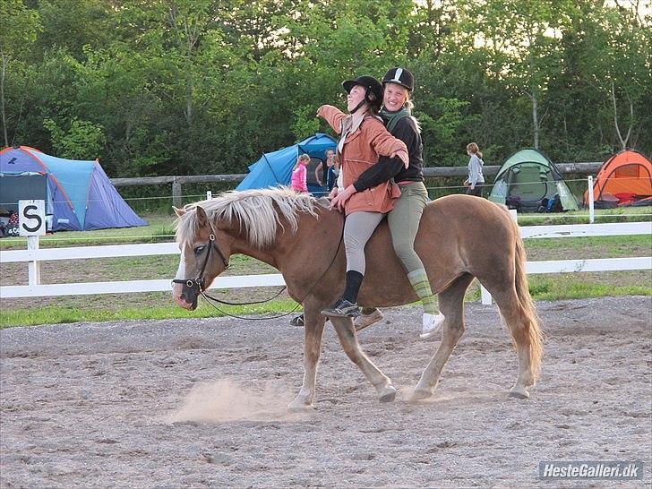 Haflinger Valerie - fjolle/hygge ridning på ridelejr 2011. billede 18