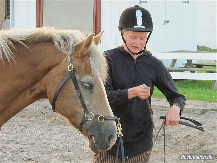 Haflinger Valerie - Akademisk træning på ridelejr 2011. billede 19