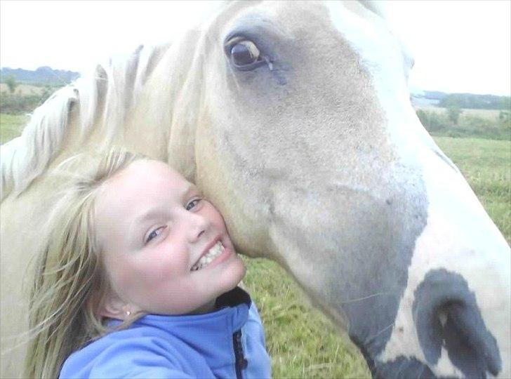 Palomino Nala  billede 2