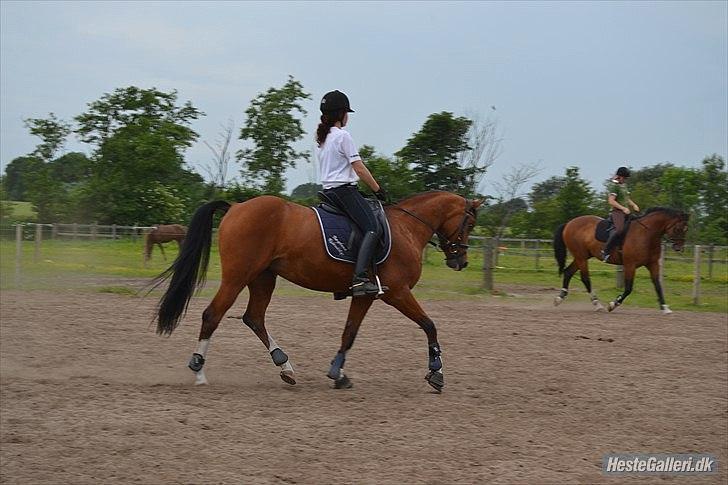 Anden særlig race Sussie *My one and only* - Ladelund ridelejr uge 26 2011
Foto:  © ELP-Foto V.I.P paret - Chanell + Emilie! . billede 15