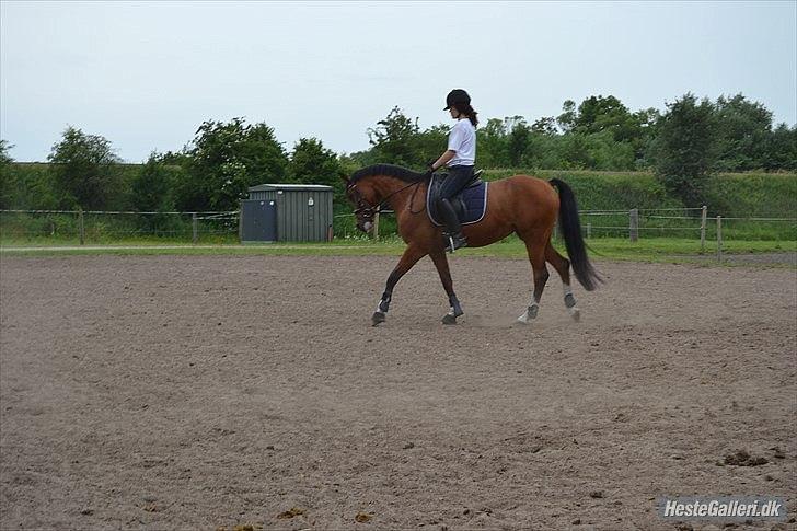 Anden særlig race Sussie *My one and only* - Ladelund ridelejr uge 26 2011
Foto:  © ELP-Foto V.I.P paret - Chanell + Emilie! . billede 16