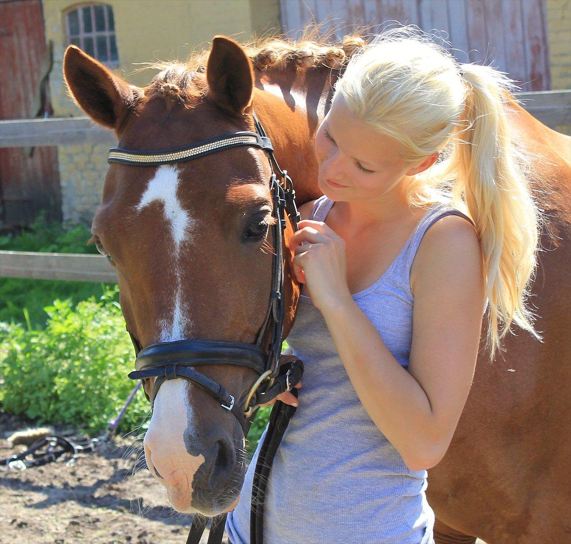 Anden særlig race Firebird - Verdens bedste pony <3 Juli 2011 billede 6