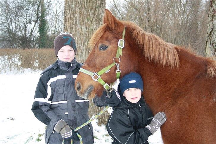 Anden særlig race Musse billede 2