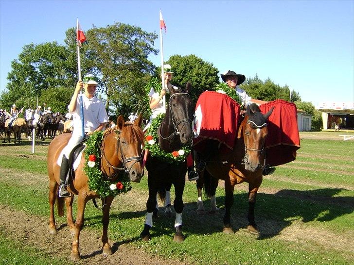 Anden særlig race Musse billede 7