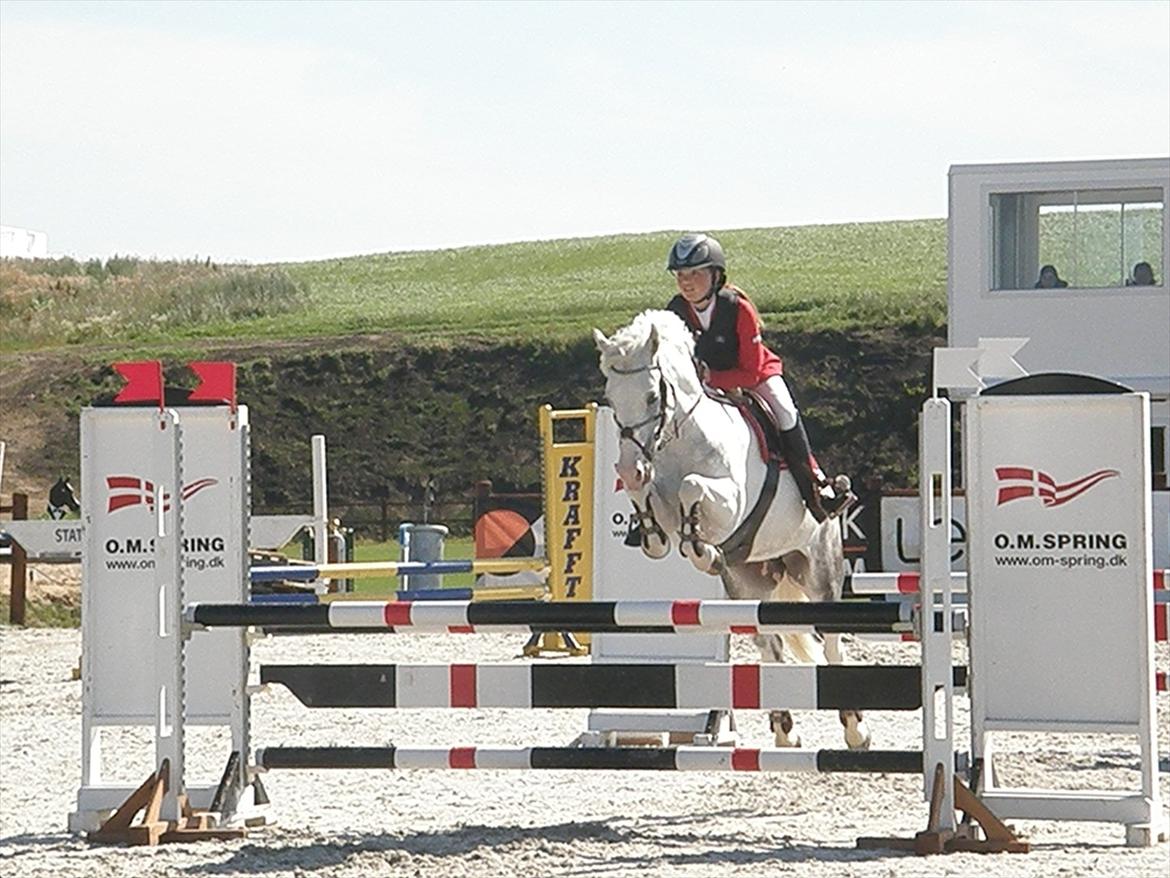 Anden særlig race Faithful´s Jamaica B-pony - Velkommen til Jamaica's profil. 
Jamaica -La** 2.plads. billede 1