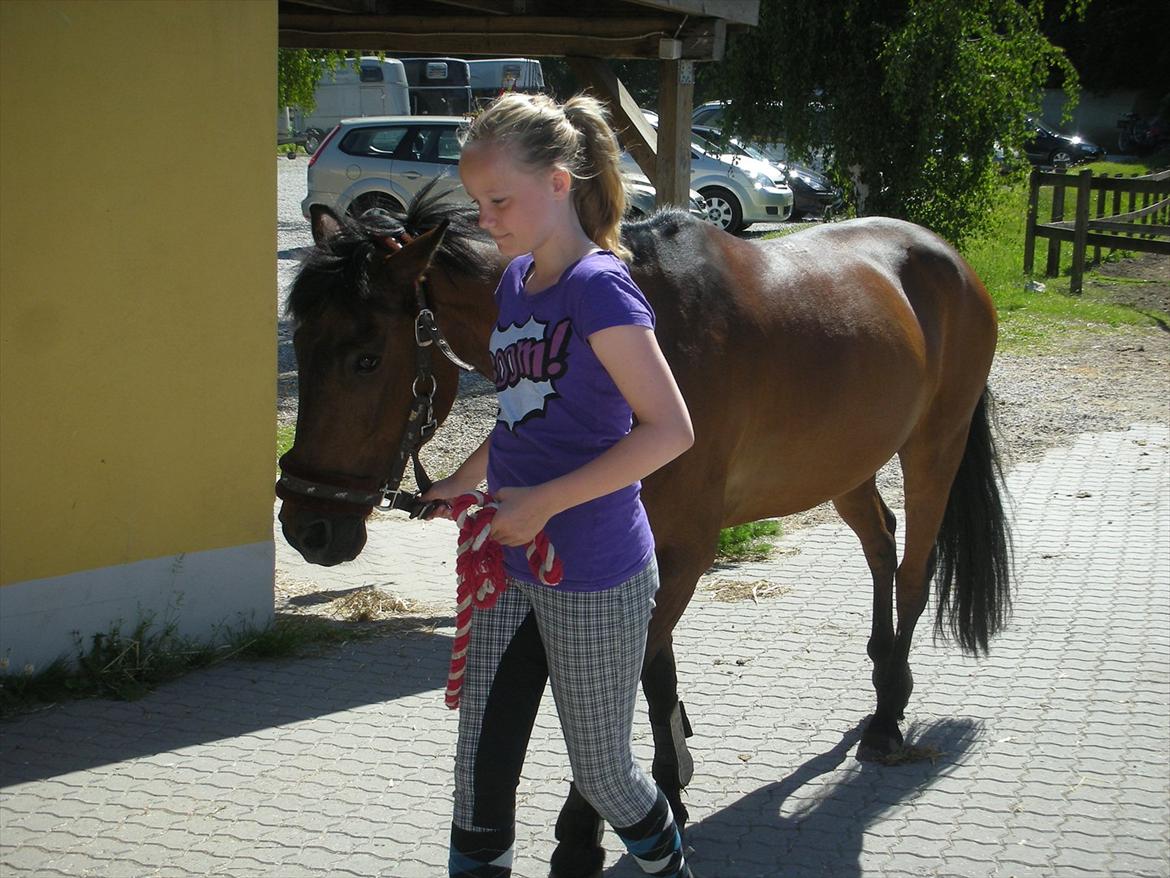 Anden særlig race Felix - Så skal vi ind fra folden!

*Foto: Min mor* billede 2