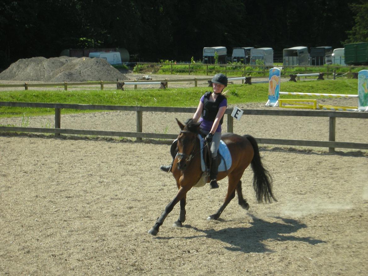 Anden særlig race Felix - (en af vores eneste) Succesfuld volte i galop <3

*Foto: Min mor* billede 3