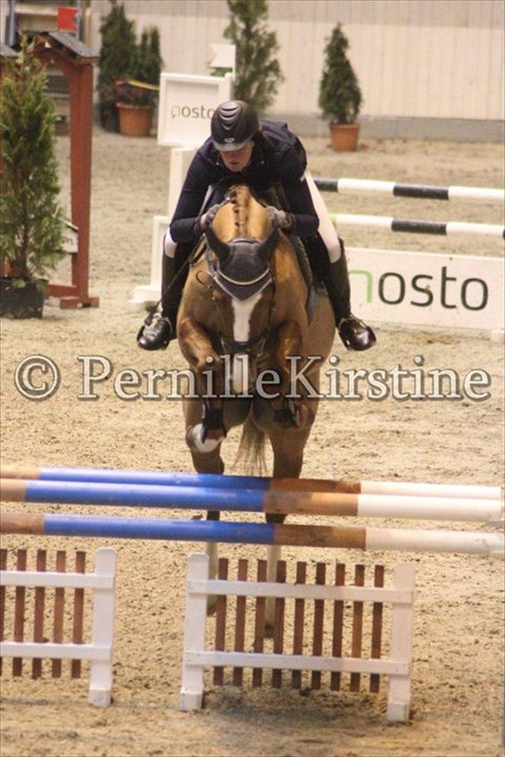 Anden særlig race Glenfoyle - Katja Kavanagh og Glen til Århus mesterskaberne ´11! 
Billedet er taget af min sponsor Pernille Kirstine! Jeg må derfor gerne benytte dette billede! billede 6