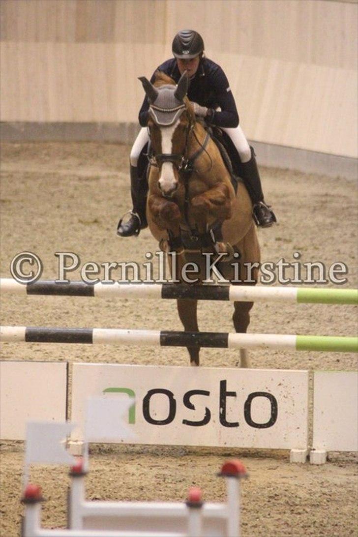 Anden særlig race Glenfoyle - Katja Kavanagh og Glen til Århus mesterskaberne ´11!
Billedet er taget af min sponsor Pernille Kirstine! Jeg må derfor gerne benytte dette billede! billede 8