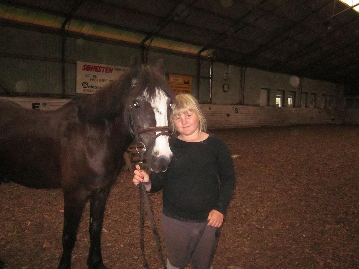 Anden særlig race Pondus - Hej og velkommen til Ponduses profil. billede 6