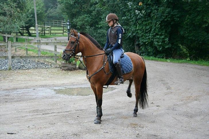 Anden særlig race Kashmir - Ja du er smuk<3 billede 3