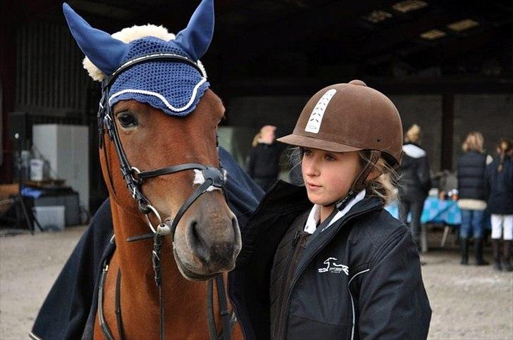 Anden særlig race Kashmir - TIl vores foerste staevne<3 jeg kunne ikke ride ;) billede 4