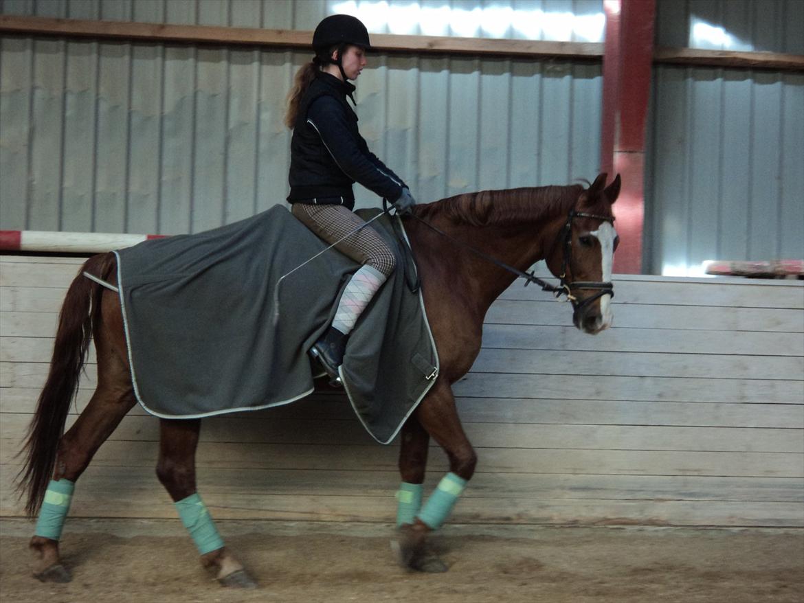 Frederiksborg Lasse Lykkebo :) ~ † R.I.P. † billede 8