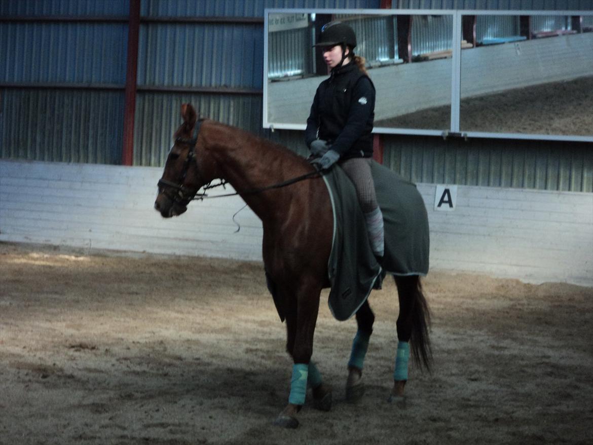 Frederiksborg Lasse Lykkebo :) ~ † R.I.P. † billede 10