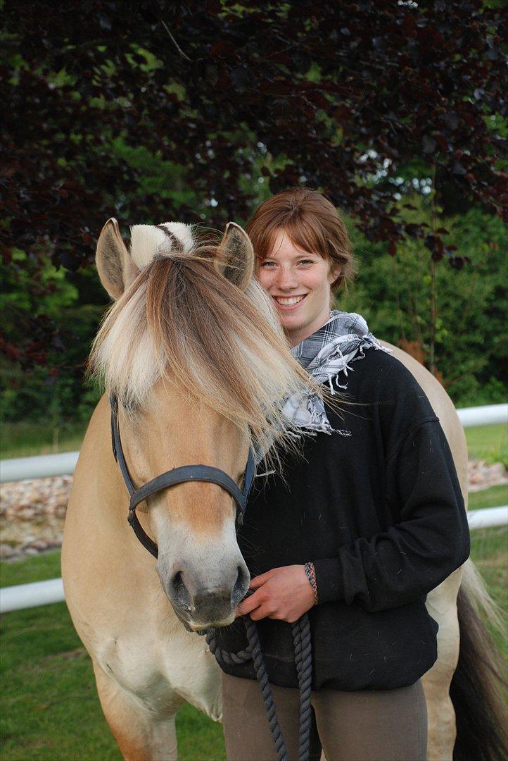 Fjordhest Mastrup Zolo *Solgt* - Min dejlige makker billede 20