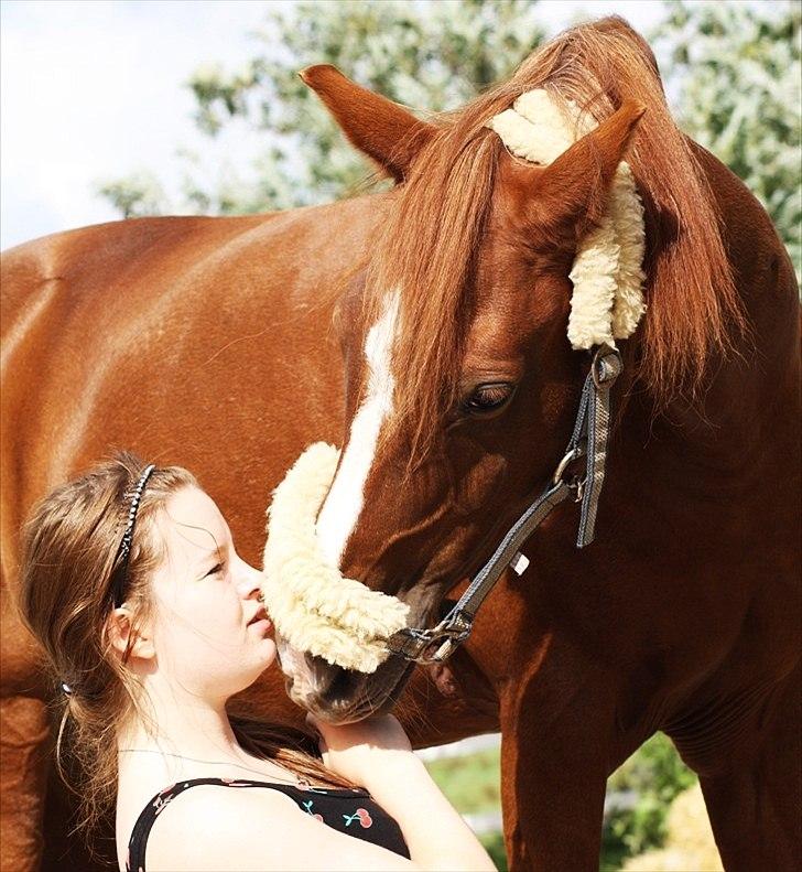 Anden særlig race Joy - Baby :-) 
[Fotograf: ECS] billede 5