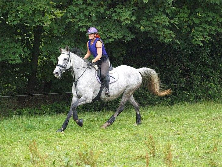 Anden særlig race Lotus - terrænkursus SRÅ juli 2011 billede 1