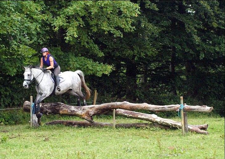 Anden særlig race Lotus - terrænkursus SRÅ juli 2011 billede 5