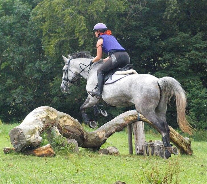 Anden særlig race Lotus - terrænkursus SRÅ juli 2011 billede 9