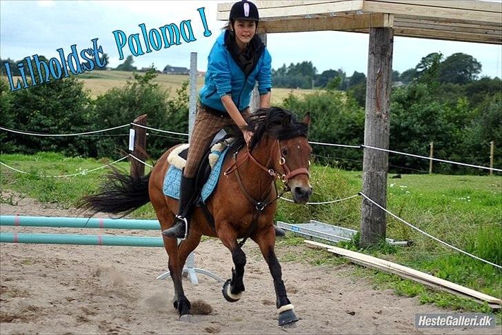 New Forest -Lilholdst Paloma [TheDreamHorse] - Et lille stævne. Man kan da ikke sige at der mangler fart ? xD<3
Stald Moesgaard-Ridelejer 2011
MSP FOTO billede 5