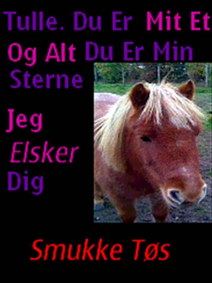 Shetlænder Tulle - solgt  billede 4