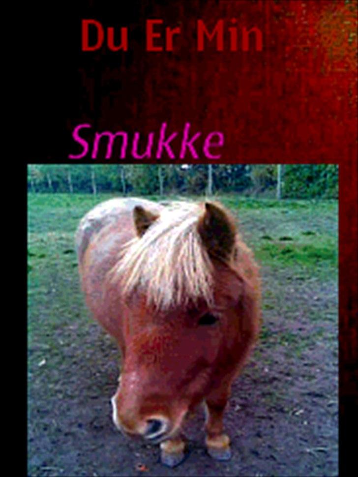 Shetlænder Tulle - solgt  billede 5