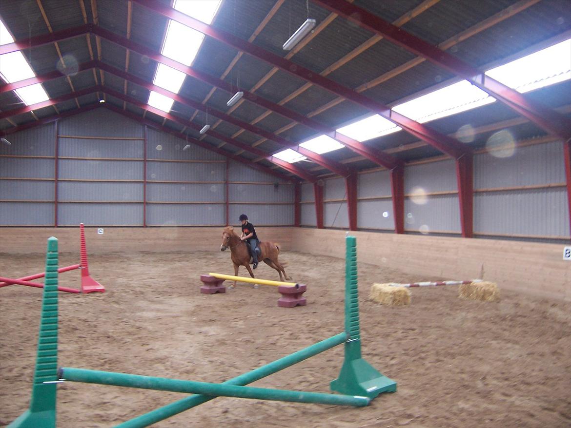 Islænder Askja fra Spillehuset R.I.P - #17 nyt mig og askja ud og spring billede 17