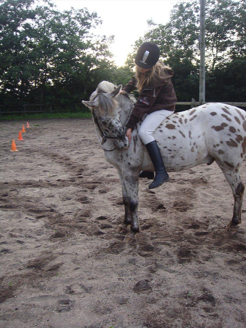 Knabstrupper Filur - Hyggetræning i sommerferien, hvor jeg dog savner dette noget så forfærdeligt... billede 7