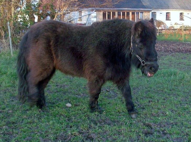 Anden særlig race Aia - Du er så kær :-) billede 12