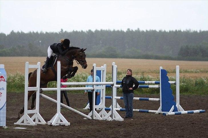 Hollandsk Sportspony | Elim - 1.20 i bjergby! (: billede 2