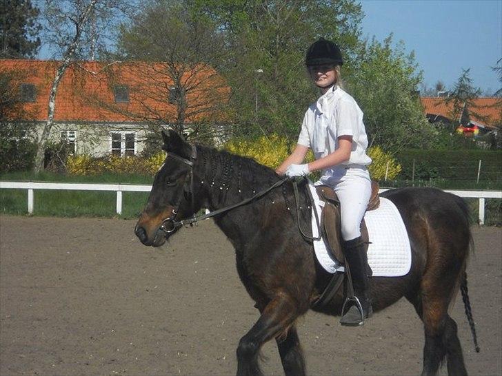 Anden særlig race Flicka - Du kan gøre mig lykkelig du kan gøre mig splittergal! <3
Men kærlighed og venskab i et er fantastisk alle kan jo have sine kampe så hvorfor skulle vi ikke have det? :** billede 4