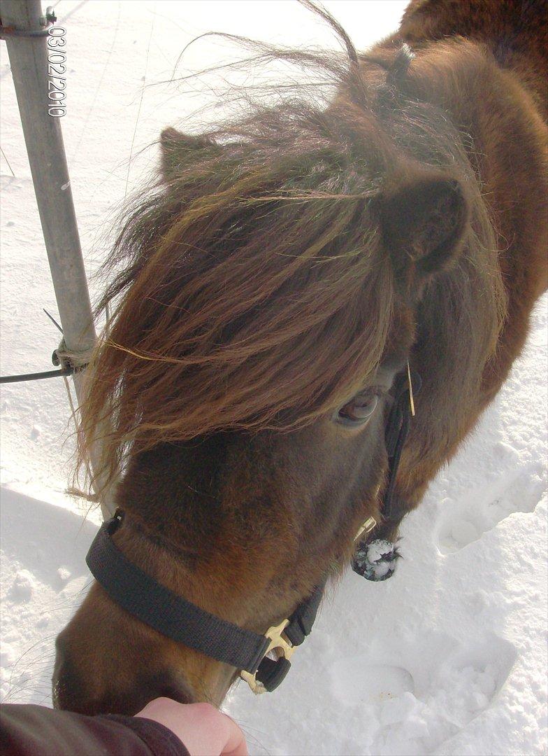 Anden særlig race Ida - Velkommen til Idas profil :-) billede 1