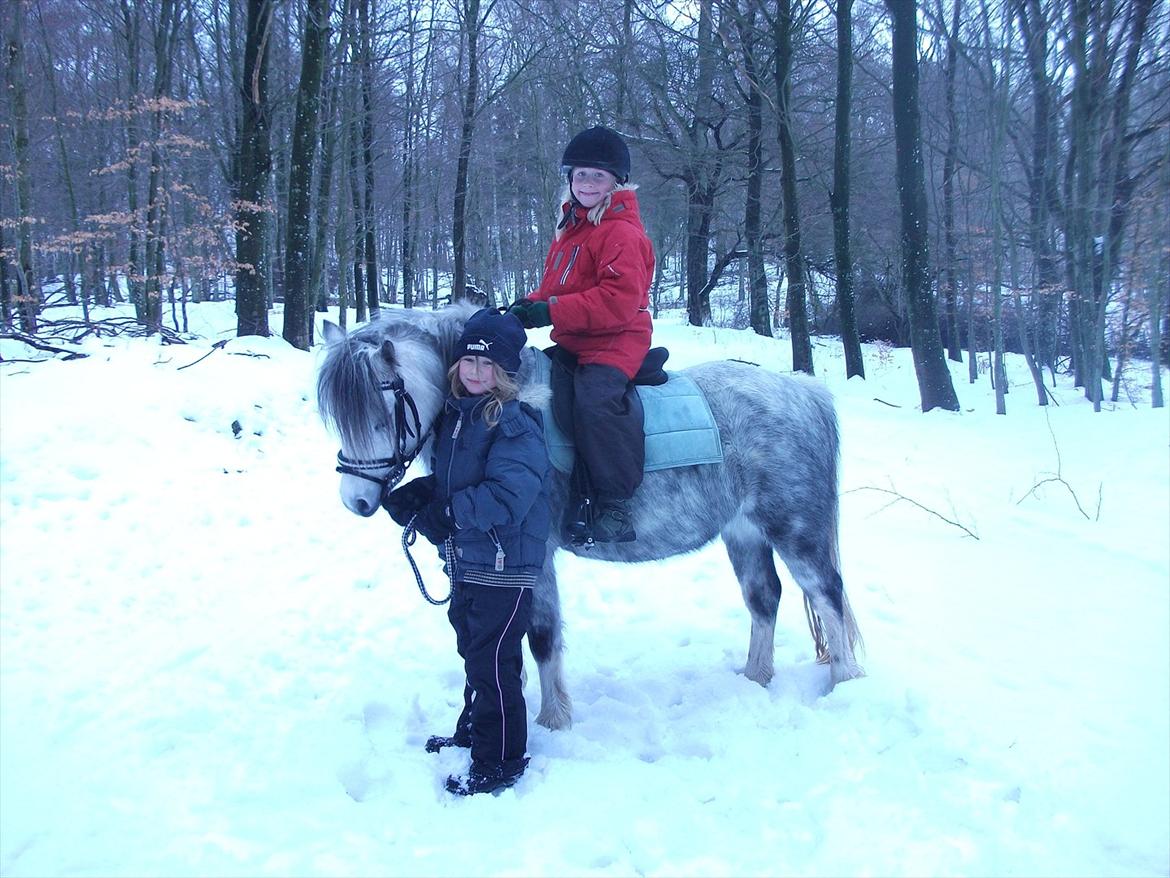 Anden særlig race Roxet - Nikoline og Maigan ude og ride i skoven:) billede 3