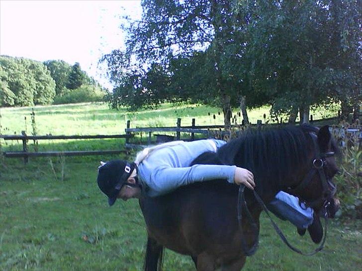 Anden særlig race R:I:P <3Hoffus<3 - ja sjove ting lavede jeg sku med hende:=) 
hvad den pony ikke har varet igen vides ikke med bestemt hed:P billede 4