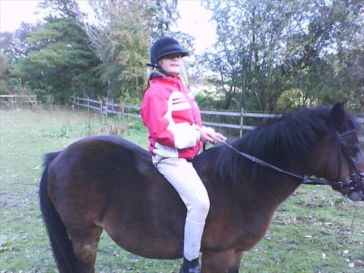 Anden særlig race R:I:P <3Hoffus<3 - min niece der lige skulle prøve at ride;) billede 6