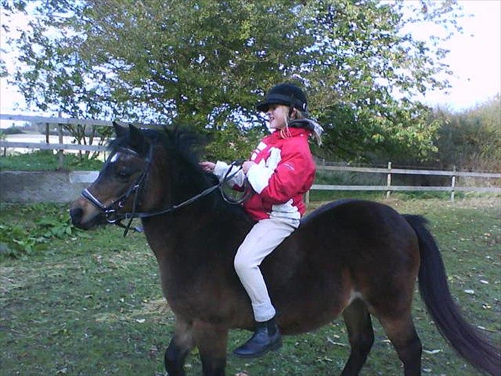 Anden særlig race R:I:P <3Hoffus<3 - min niece der rider runt hel selv :D billede 7