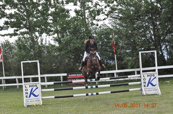 Dansk Varmblod Rikke - stævne på SPS billede 16