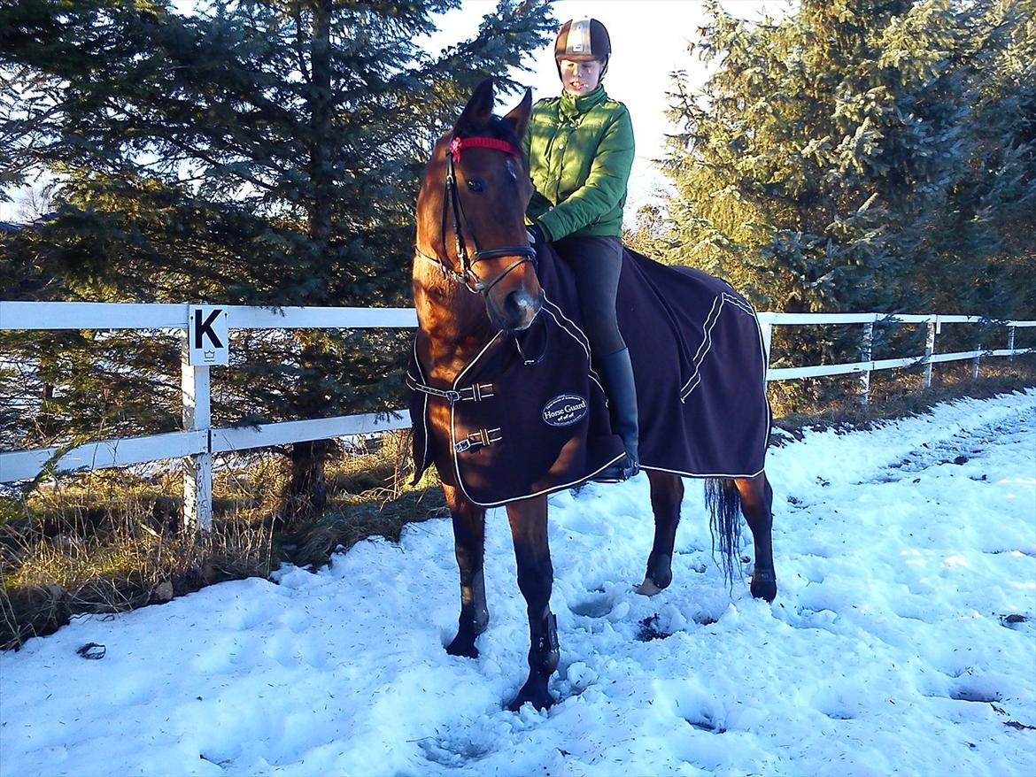 Anden særlig race Schima Charei! <3 billede 19