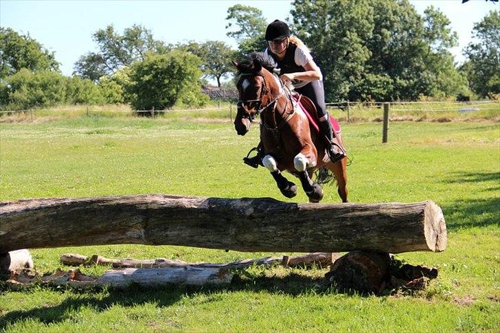 Anden særlig race Paintball  - millitary spring (søborggård) <3 billede 13