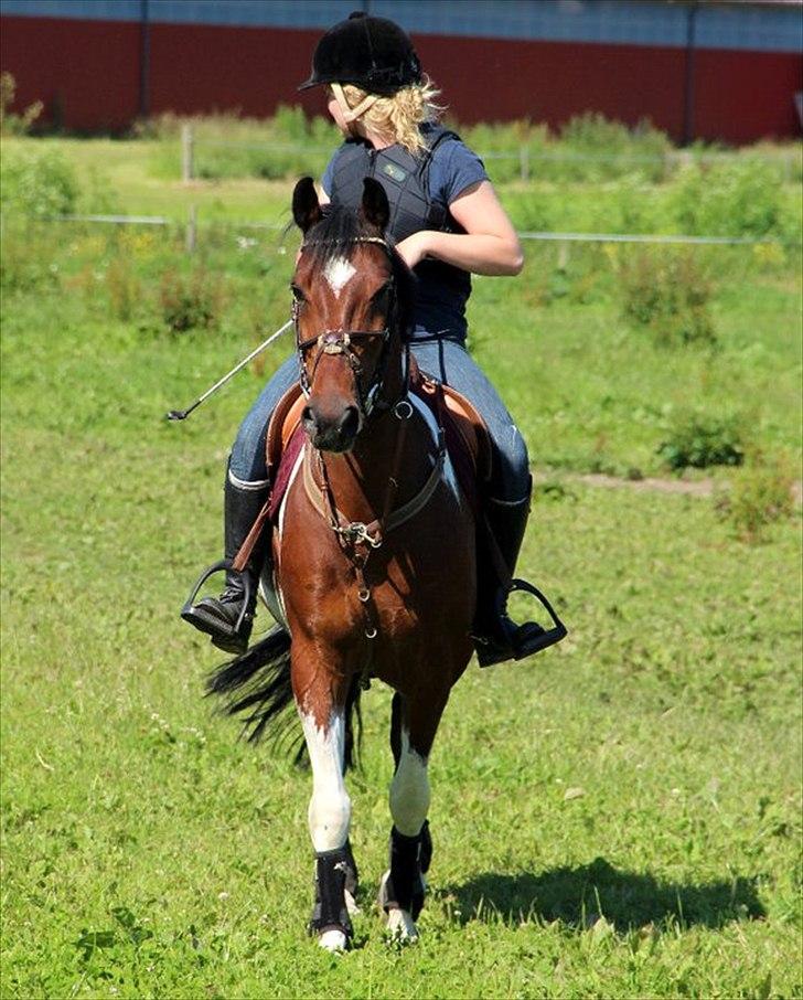 Anden særlig race Paintball  - nuuuuti <3 billede 15