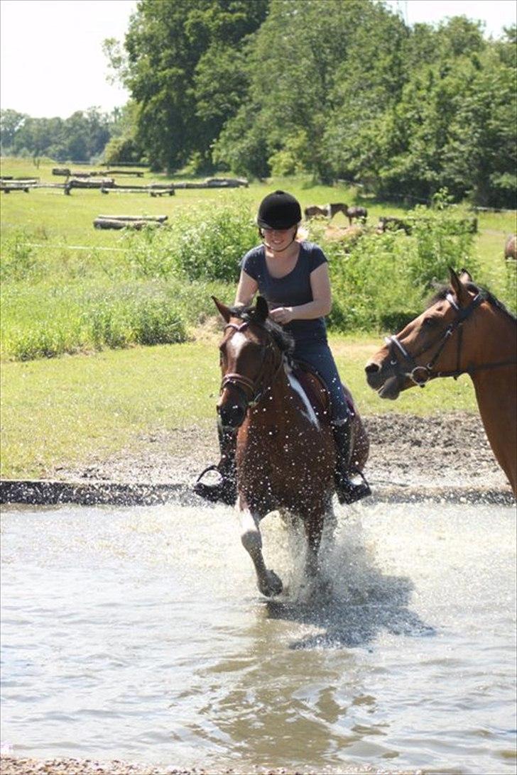 Anden særlig race Paintball  - vandgraven på millitarybanen (søborggård) <3 billede 18