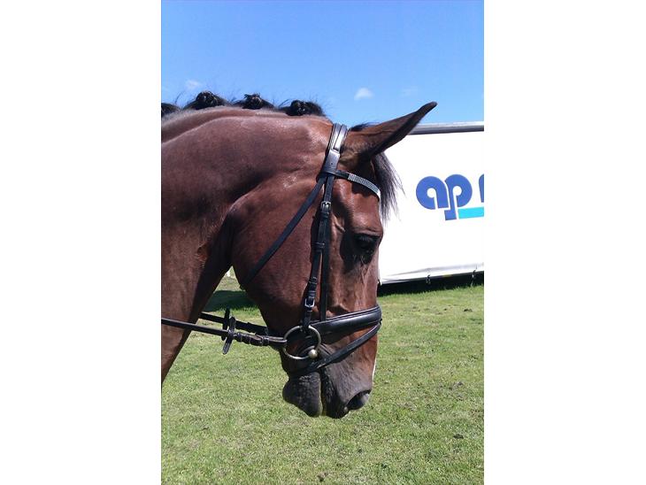 {{currentPhoto.altText}} billede {{currentPhoto.number}}