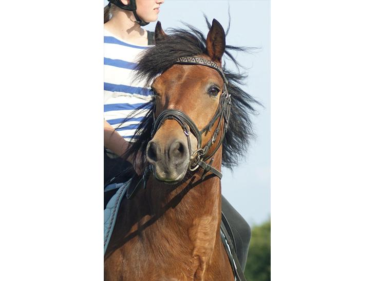 {{currentPhoto.altText}} billede {{currentPhoto.number}}