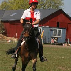 Anden særlig race Buster Larsen